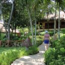 필리핀 알레그래휴양지 (무인도 산호섬 호핑투어) 이미지