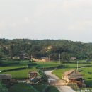 돼지학교