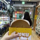 대전 당일치기 (성심당•진로집•프렐류드•소소로와•코페부쉬•태평소국밥)