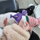 공룡치과의원 | 울산 덕하치과의원 / 울산 덕하치과 영유아구강검진