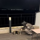 경남 남해 오션뷰 펜션 내돈내산 햇살한스푼펜션