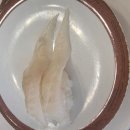 스시도초밥 이미지