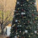 선물같은 하루 | 서울 근교 대형 카페/크리스마스 포토존/크리스마스 카페 종결판❗️/선물 같은 하루 보내고 온 후기 🎅🏻🎄