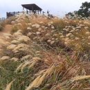 섬어부밥상 이미지