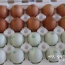 푸른들농장 이미지