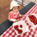 슈퍼팜