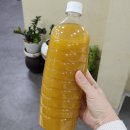 대구 동구 팔공산미나리삼겹살 맛집 신토불이
