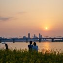 노란무지개