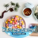 톰과 제니 동물메디컬센터 이미지