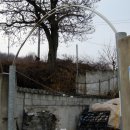 오생2리 이미지