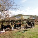 화령고등학교 이미지