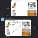 우문현답 이미지