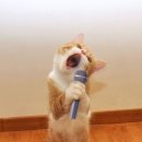 도전농장 이미지