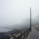 올레로하우스 이미지