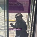 봄날;씨
