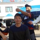고성왕새우 이미지