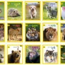 블루유치원 이미지