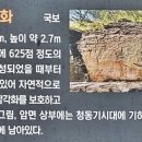 울주 대곡리 반구대 암각화 이미지