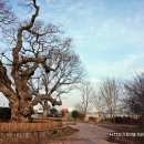 조순 장군비 이미지