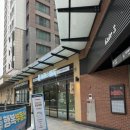 브라이트 독 이미지