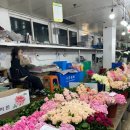 남대문대도집 | [남대문 꽃시장] 남대문 꽃다발 포장 추천 ‘썬플라워’ 내돈내산 후기