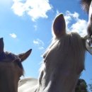 광철농장 이미지