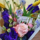 쿠무다 콘서트홀 이미지