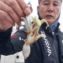 쭈순이 네이버블로그