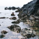 파도향기 이미지