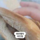 머리할라꼬 이미지