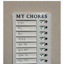 용피씨 | 내돈내산 추천템_마사지스틱, 양산, 북카트, 투두리스트, 선크림, 선스틱, 다이어트