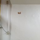 합성동281 이미지