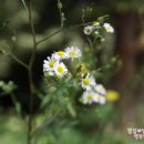 운기목장 이미지