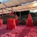 봉식이놀이터 이미지