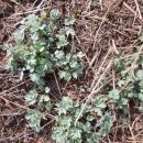 수철농장 이미지