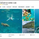 블루비치B | 발리 블루라군 스노쿨링 투어 탄중제푼 후기