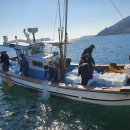 남해-150 이미지