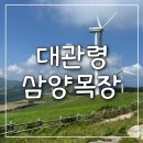 삼양라운드힐 대관령 삼양목장 입장료, 셔틀버스, 마트, 카페 후기