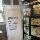 야옹이네 고양이카페 | 수원 아이랑, 호매실동 야옹이네 고양이카페방문후기