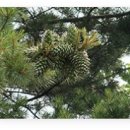 솔뫼중학교 이미지