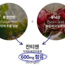 버닝다이어트 이미지
