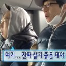 영화로운스테이 이미지