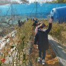 수곡농원 이미지