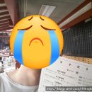 신사2-034 | 도쿄여행 3 6일차 - 시나가와 수족관, 아사쿠사, 오다이바