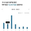 인제주 행정사사무소 | 외딴섬 전지훈련 이튿날 / 번네식당, 카페 인스밀 제주 돌고래스팟, 서귀포 자연휴양림, 토끼트멍...