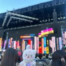 하서현 | 1년 뒤에 쓰는 고양이콘서트 후기
