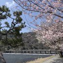 신성소프트 | 오사카 교토 버스투어 아라시야마 금각사 청수사 여행한그릇 후기