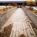 녹산사슴 이미지