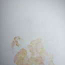 [직장인]식물세밀화 색연필 보타니컬아트(수)19:00 | 보태니컬아트-능소화 채색하기