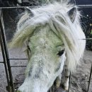 미스틱베이커리 이미지